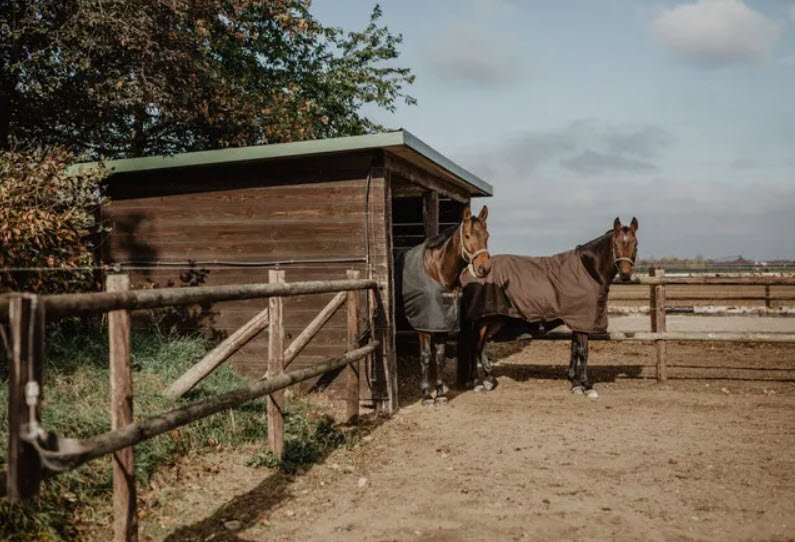 Reitanlage Groß Nordsee, Germany